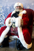 Faithful Friends Kitty for Adoption