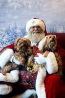Max, Rex, and Bella