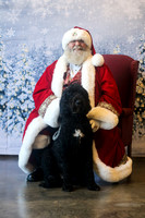 Indy
